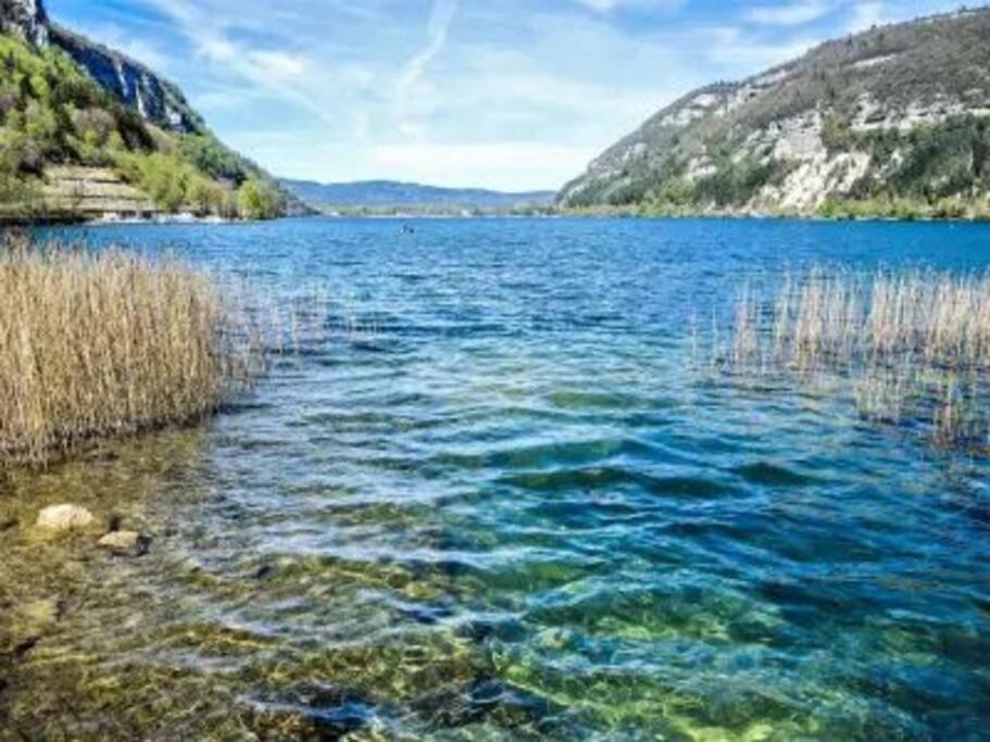 ננטואה Joli Appartement En Face De Lac מראה חיצוני תמונה